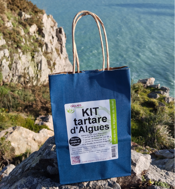 Kit pour tartare d'algues
